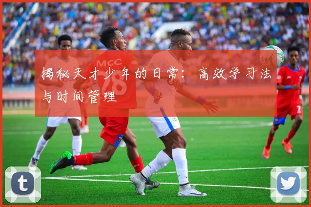 揭秘天才少年的日常:高效学习法与时间管理