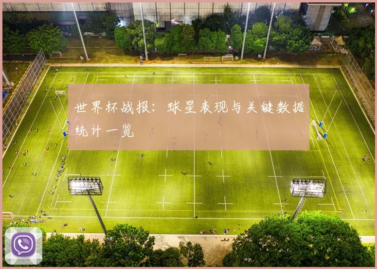 世界杯战报:球星表现与关键数据统计一览