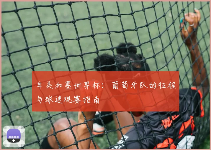 年美加墨世界杯:葡萄牙队的征程与球迷观赛指南