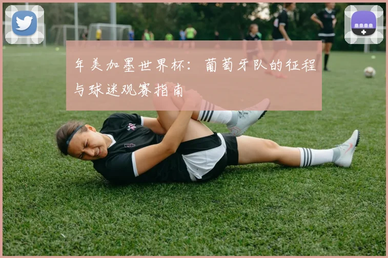 年美加墨世界杯:葡萄牙队的征程与球迷观赛指南
